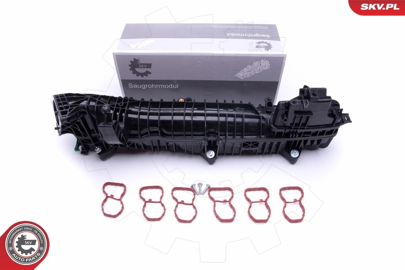 Intake Manifold Module